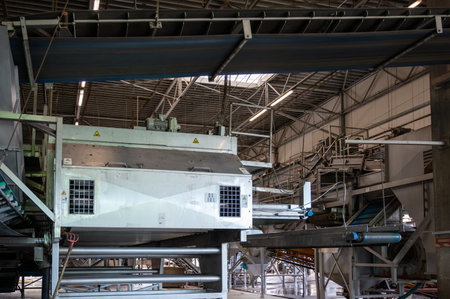 Fresh vegetables processing equipment after harvesting, storage, sorting, washing, cutting, packing, agriculture in the Netherlandsの写真素材