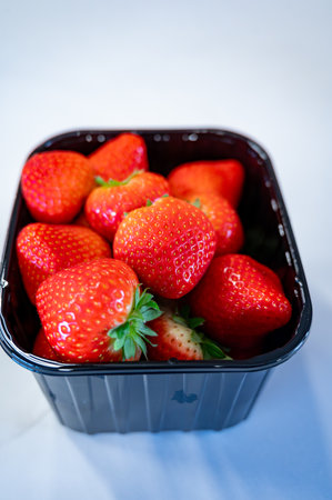 New spring harvest, one box of ripe Dutch red sweet strawberry on farmer market in the Netherlands, close up on white backgroundの写真素材