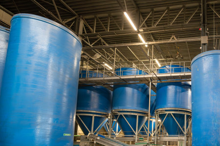 Fresh vegetables processing equipment after harvesting, storage, sorting, washing, cutting, packing, agriculture in the Netherlandsの写真素材