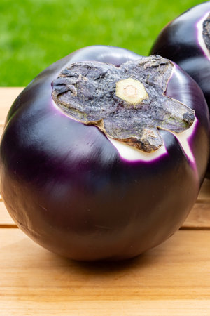 Fresh ripe purple globe Violetta eggplants vegetables from Sicily ready to cook, healthy Italian foodの写真素材