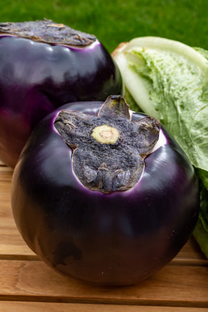 Fresh ripe purple globe Violetta eggplants vegetables from Sicily and green Romaine lettuce, healthy Italian foodの写真素材