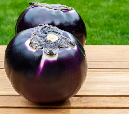 Fresh ripe purple globe Violetta eggplants vegetables from Sicily ready to cook, healthy Italian foodの写真素材