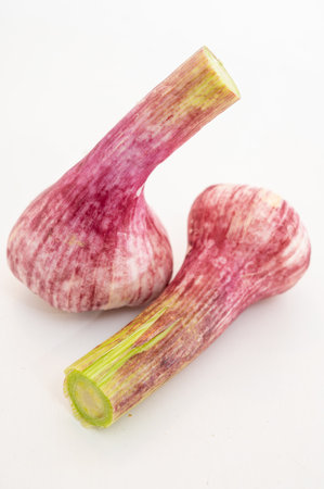 Fresh young heads of purple or violet French garlic close upの写真素材