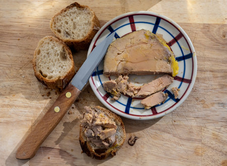 Starter dish Foie gras fat liver specialty food product made of liver of a duck or goose, served in French restaurant in Perigoed, Dordogne, close upの写真素材