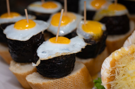 Typical snack of Basque Country, pinchos or pinxtos skewers with small pieces of bread, sea food, eggs, cheese, jamon served in bars in San-Sebastian or Bilbao, Spain, close upの写真素材