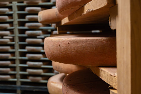 Aging rooms with many shelves in cheese caves, central location for aging of wheels, rounds of Comte cheese from four months to several years made from unpasteurized cow milk, Jura, Franceの写真素材