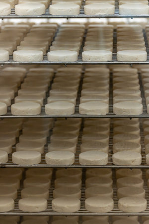 Rocamadour soft goat AOC cheese with soft rind on aging process produced on farm in Perigord and Quercy takes its name from village of Rocamadour in Lot department, Franceの写真素材