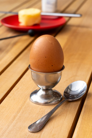 Soft-boiled organic free range bio chicken egg served on egg holder for nutritious breakfast