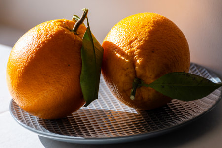 Fresh sweet ripe organic oranges with leaves from Portugal in sunlights