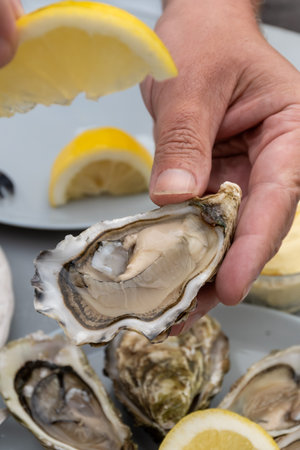 Hand with fresh live raw oyster, seashells with citron, bread, butter and white wine served at...