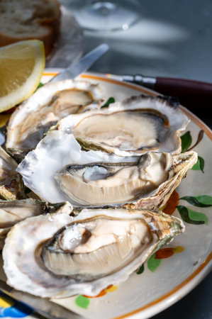 Plate with fresh live raw oysters seashells with citron, bread, butter and white wine served at...