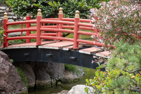 Landscape urban design, public city park in Japan style with stones, bonsai pines trees, flowers, little bridges, water falls in center of Monte-Carlo city, Monacoの写真素材