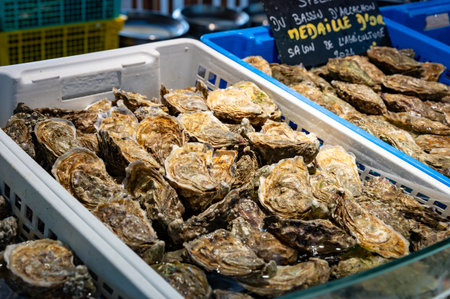 Fresh live different sizes oysters in market hall ready to be eaten for lunch, close up, from oyster-farming village, Arcachon bay, Gujan-Mestras, Bordeaux, Franceの写真素材