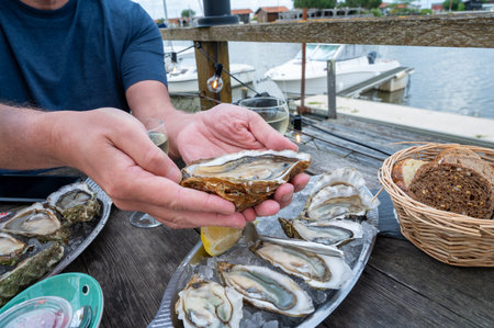 Eating of fresh live oysters with citron and bread at outdoor farm cafe in oyster-farming village, Arcachon basin, Gujan-Mestras port, Bordeaux, France in sunny day, huge oyster number 0.の写真素材