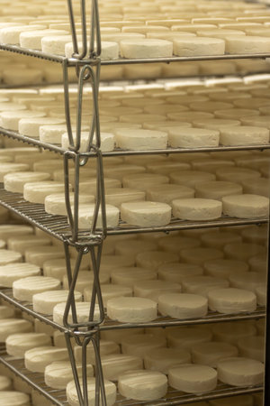 Rocamadour soft goat AOC cheese with soft rind on aging process produced on farm in Perigord and Quercy takes its name from village of Rocamadour in Lot department, Franceの写真素材