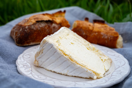 Delice de Bourgogne French cow's milk cheese from Burgundy region of France close up served outdoor...