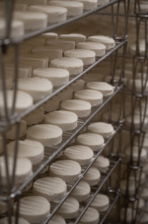 Cheese making process on goat farm, Rocamadour soft goat AOC cheese with soft rind produced on farm in Perigord and Quercy department Lot, France, farm visitの写真素材