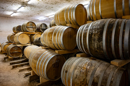 Aging process of cognac spirit in old dark French oak barrels in cool cellar in distillery house,...