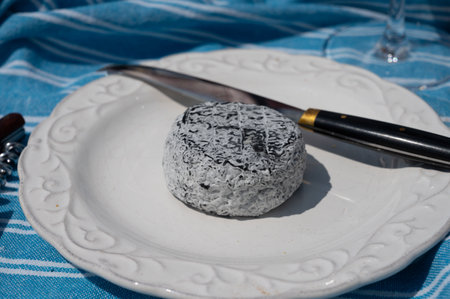 Picnic with cheese, French Cendre Lait cru Chevre black cheese made from goat milk with ash in France served outdoorの写真素材
