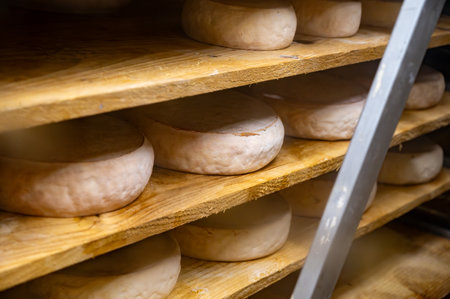 Farmer shop in Biarritz, Basque Country and Pyrenees sheep, cow and goat cheeses for sale, Tomme, Fermier Brebis, farmers cheeseの写真素材