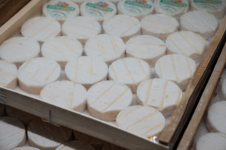 Rocamadour or cabecous soft goat AOC cheese with soft rind produced on farm in Perigord and Quercy...