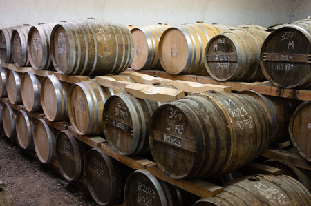 Aging process of cognac spirit in old dark French oak barrels in cool cellar in distillery house,...