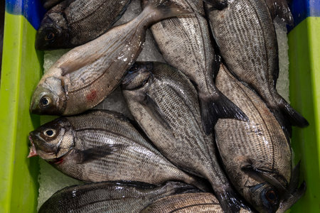 Assortment of fresh daily catch of fish on ice on daily fish market in Brittany, France