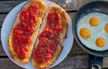 Traditional andalusian breakfast on roof patio with bread toasts, fresh ground tomatoes sauce and olive oil, Sevilla, Andalusia, south of Spainの写真素材