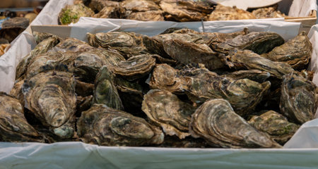 Fresh live different sizes oysters Fine de Claires in market hall ready to be eaten for lunch, close up, from oyster-farming village, Arcachon bay, Gujan-Mestras, Bordeaux, Franceの写真素材