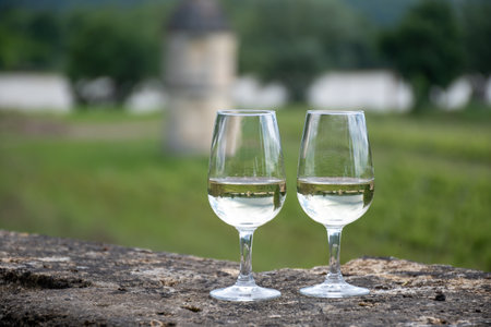 Tasting glasses of white wine in old wine domain on Sauternes vineyards in Barsac village and old...