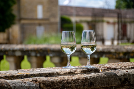 Tasting glasses of white wine in old wine domain on Sauternes vineyards in Barsac village and old castle on background, Bordeaux, Franceの写真素材