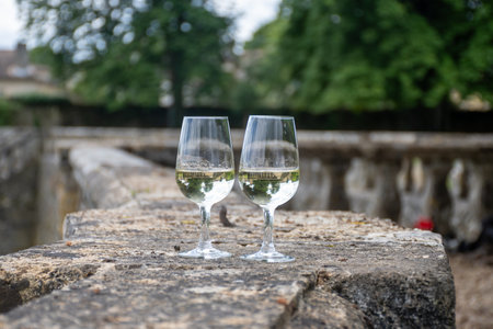Tasting glasses of white wine in old wine domain on Sauternes vineyards in Barsac village and old castle on background, Bordeaux, Franceの写真素材