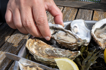 Hand with fresh live raw oyster, seashells with citron, bread, butter and white wine served at restaurant in oyster-farming village, Arcachon bay, Gujan-Mestras port, Franceの写真素材