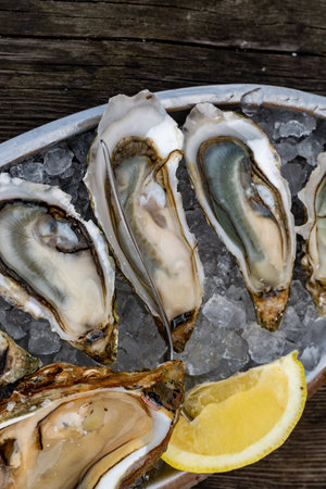 Plate with fresh live raw oysters seashells with citron, bread, butter and white wine served on ice at restaurant in oyster-farming village, Arcachon bay, Gujan-Mestras port, Franceの写真素材