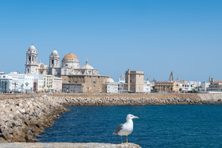 Walking through white city Cadiz, one of oldest cities and ports in Europe on Atlantic Ocean in southern Spain in Andalusia, tourists destinationの写真素材