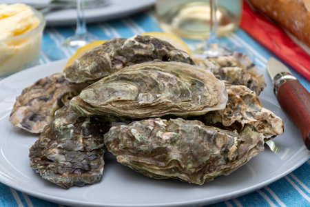 Plate with fresh live raw oysters seashells with citron, bread, butter and white wine served at...