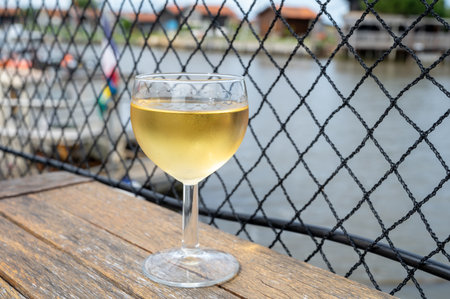Tasting of white wine, France. Glasses of white sweet French wine served in outdoor restaurant, oysters farm in Gujan-Mestras, Arcachon bayの写真素材