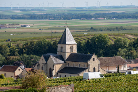 Harvest time on green grand cru vineyards near Oger and Mesnil-sur-Oger, region Champagne, France. View on villages of Cote des Blancsの写真素材