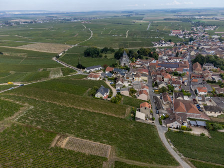 Aerial view on green grand cru vineyards near Oger and Mesnil-sur-Oger, region Champagne, France. Cultivation of white chardonnay wine grape on chalky soils of Cote des Blancs, harvestの写真素材