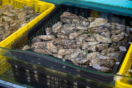 Traveling in France, old wooden huts and oysters farms in Gujan-Mestras village, cultivation, fishing and sale of fresh oysters seashells, Arcachon bay, Atlantic ocean, France, tourists destinationの写真素材