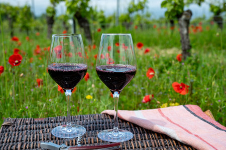 Picnic on old vineyard with red poppies flowers and green grass with glasses of red Cahors wine, summer in Cahors wine making region in France, holidays or weekend backgroundの写真素材