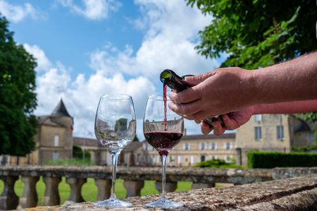 Glasses of french dry red wine in old wine domain on Graves vineyards in Portets village and old wine making castle on background, Bordeaux, Franceの写真素材