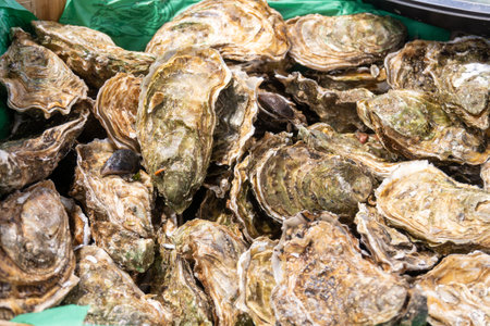 Fresh live different sizes oysters Fine de Claire in market hall ready to be eaten for lunch, close...