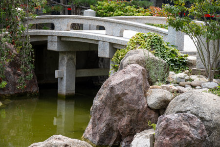 Landscape urban design, public city park in Japan style with stones, bonsai pines trees, flowers,...