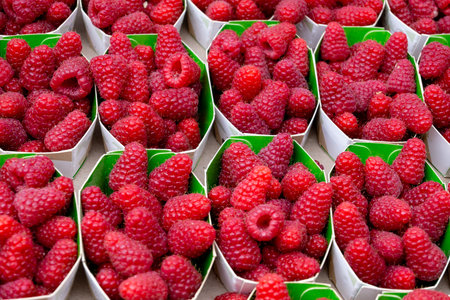 Fresh organic fruit ripe red sweet raspberry in paper boxes on local farmers market in Biarritz,...