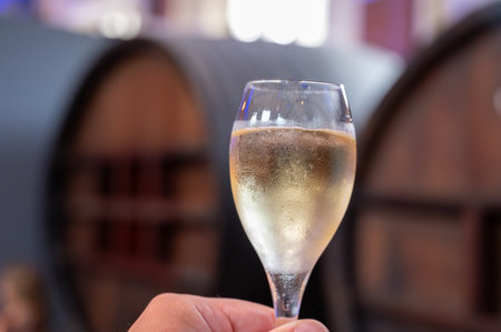 Celebration, night or beach club with party lights in France or Monaco and glass of champagne sparkling wine, dancing with wine, wedding eventの写真素材