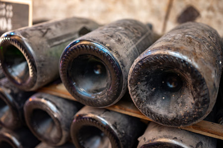 Visit of deep and long underground caves with dusty bottles on racks, traditional method making...