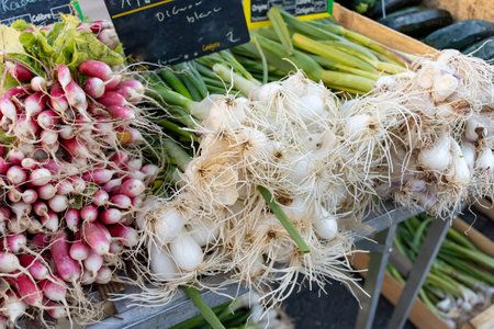 Bunches of fresh young heads of white garlic and onions on local farmers market in Dordogne, France,...