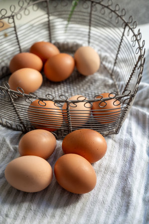 Fresh organic brown chicken eggs from free-range organic farm in basketの写真素材
