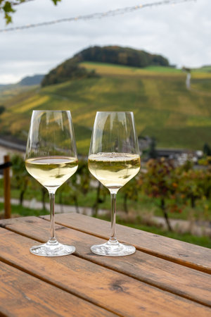 Glasses of white dry riesling wine made on Moselle river valley in Germany or Luxembourg, view on terraced vineyards in Nittelの写真素材